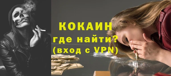 mdpv Каменногорск