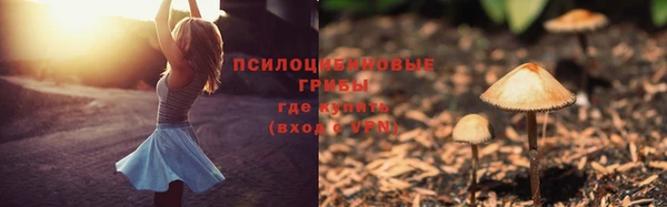 трава Каменка