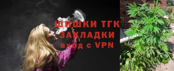 mdpv Каменногорск
